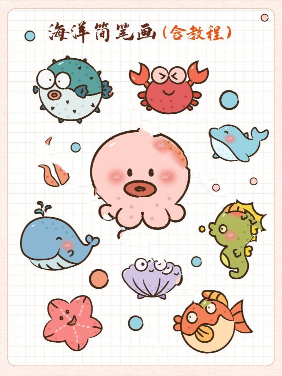 海洋简笔画丨绘画教程 鱼海鲜 海洋生物集合 海洋生物简笔画 育儿简笔