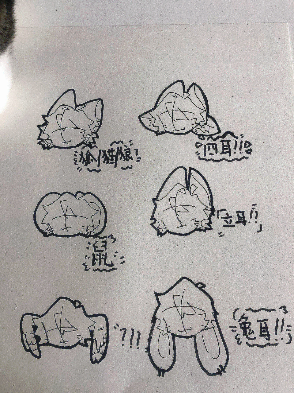 水一期 兽设素材