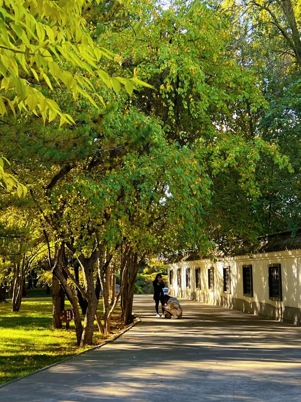 【西宁植物园】记录一个秋游93  秋天的午后去植物园逛逛真的太治愈