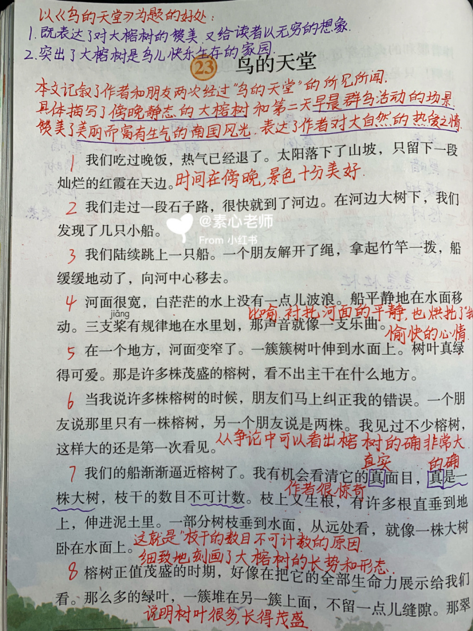 五年级第23课《鸟的天堂》笔记分享 每天直播语文和数学 讲解四五年级