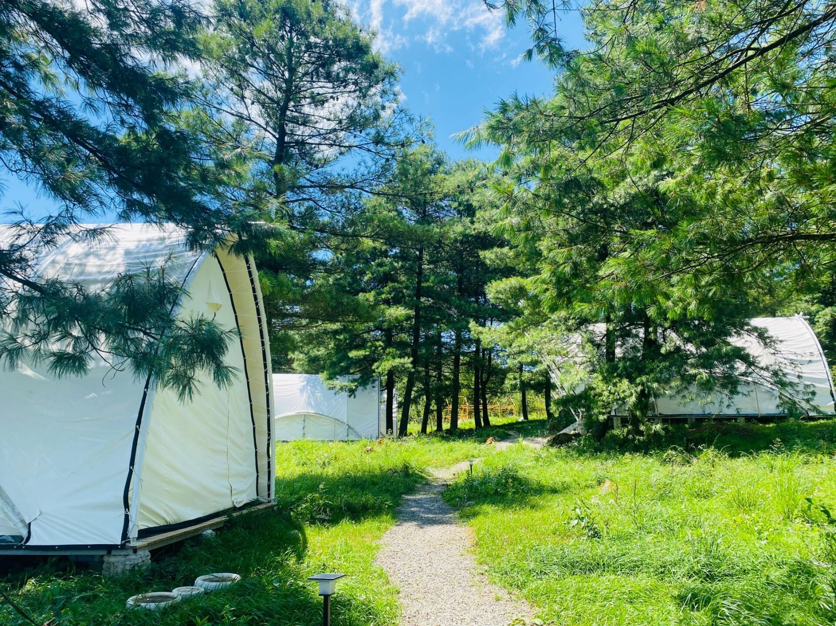 重庆千野草场(秀岭.