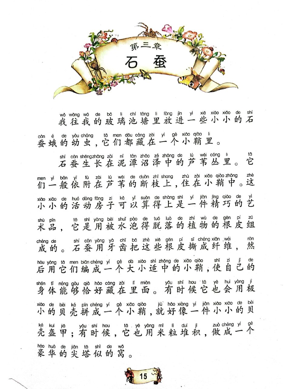 昆虫记——石蚕