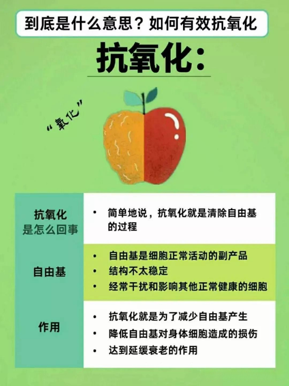 抗氧化是什么意思?