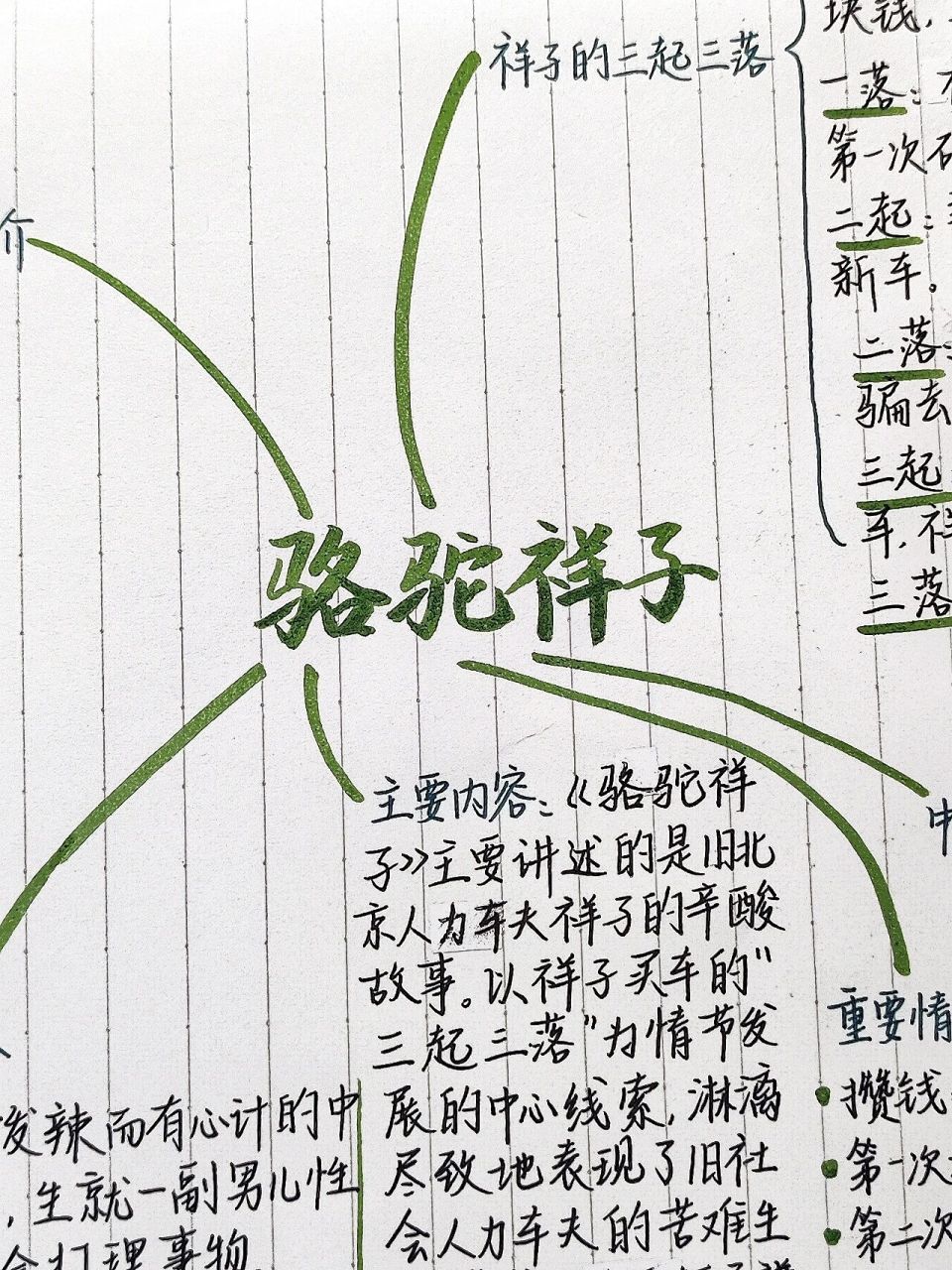 七下必读名著|骆驼祥子|思维导图                  拍不好了