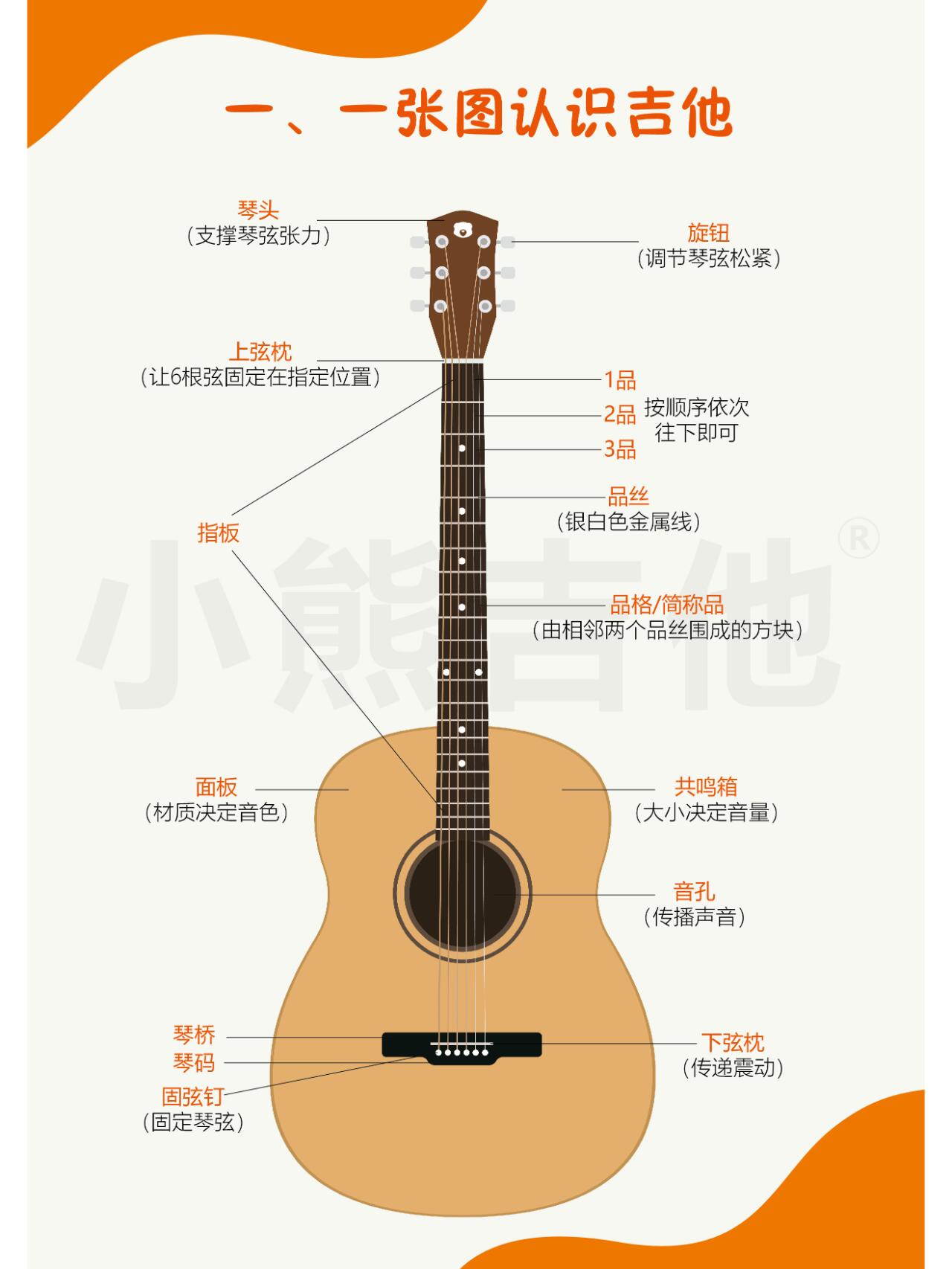 新手学吉他入门 一张图认识吉他