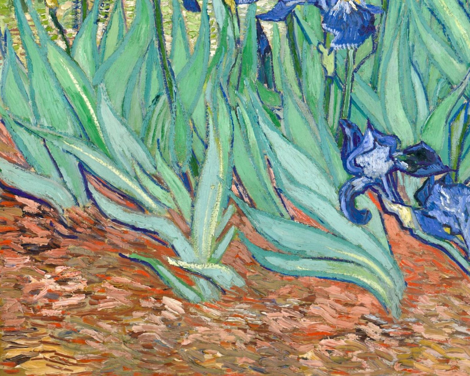 梵高# #鸢尾花# #油画花卉