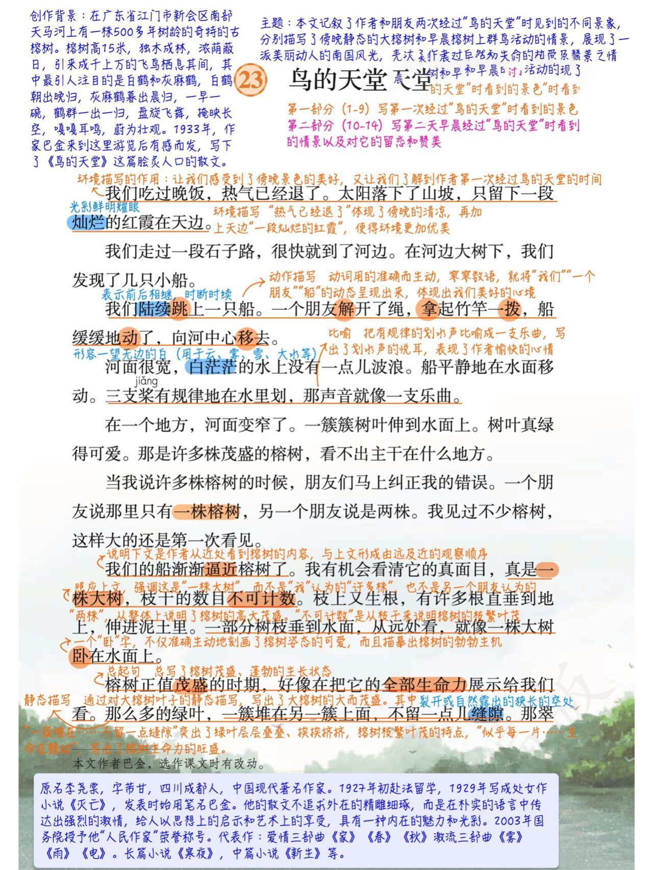 五上语文《鸟的天堂》课堂笔记