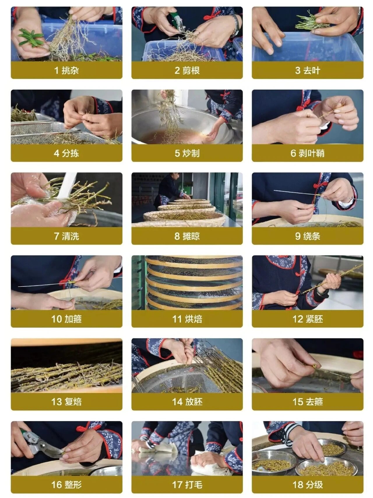 霍山石斛·米斛龙头凤尾 龙头凤尾由完整的米斛鲜条通过18道传统工艺