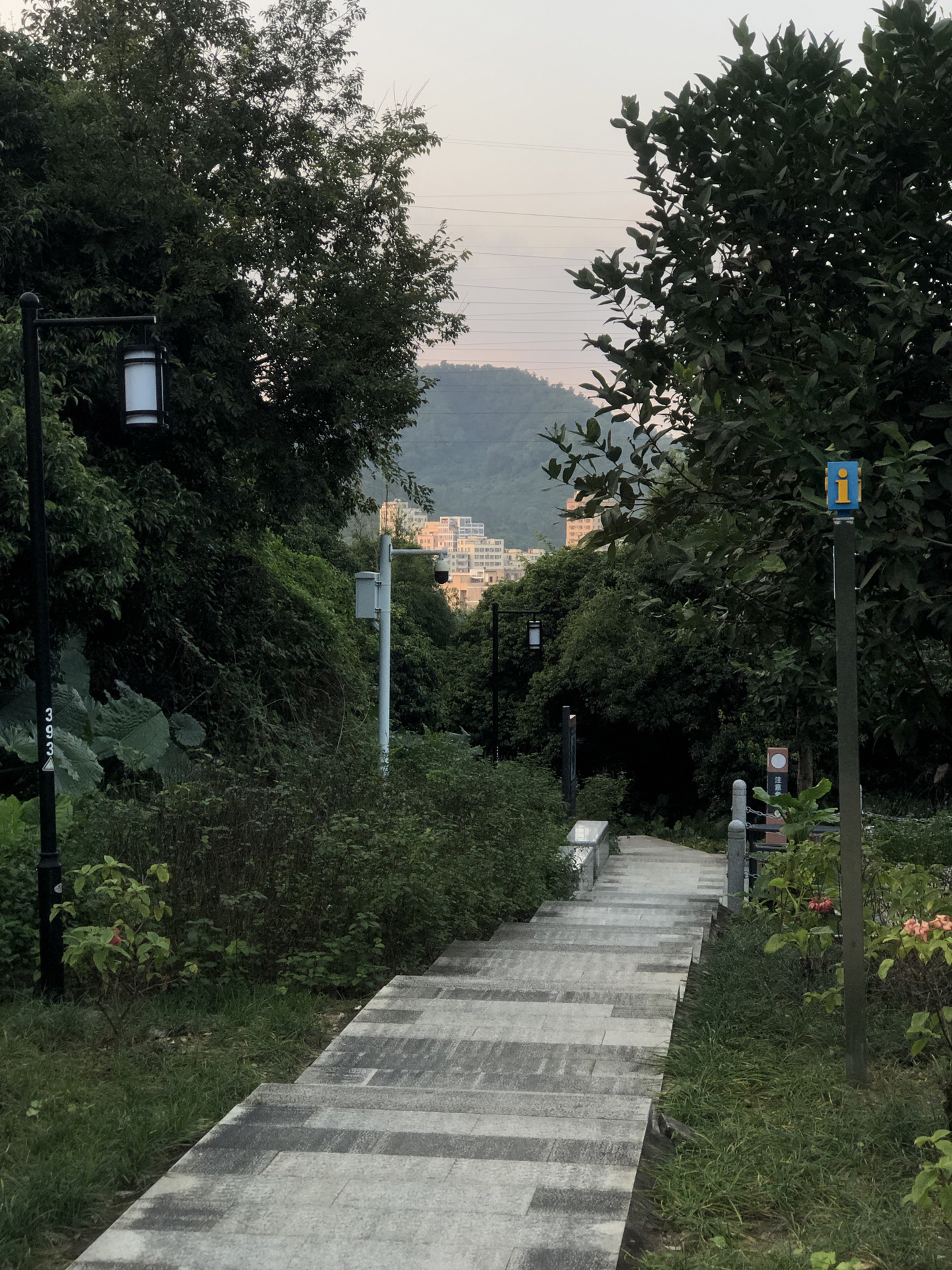 宝安西乡企龙山公园 休闲游