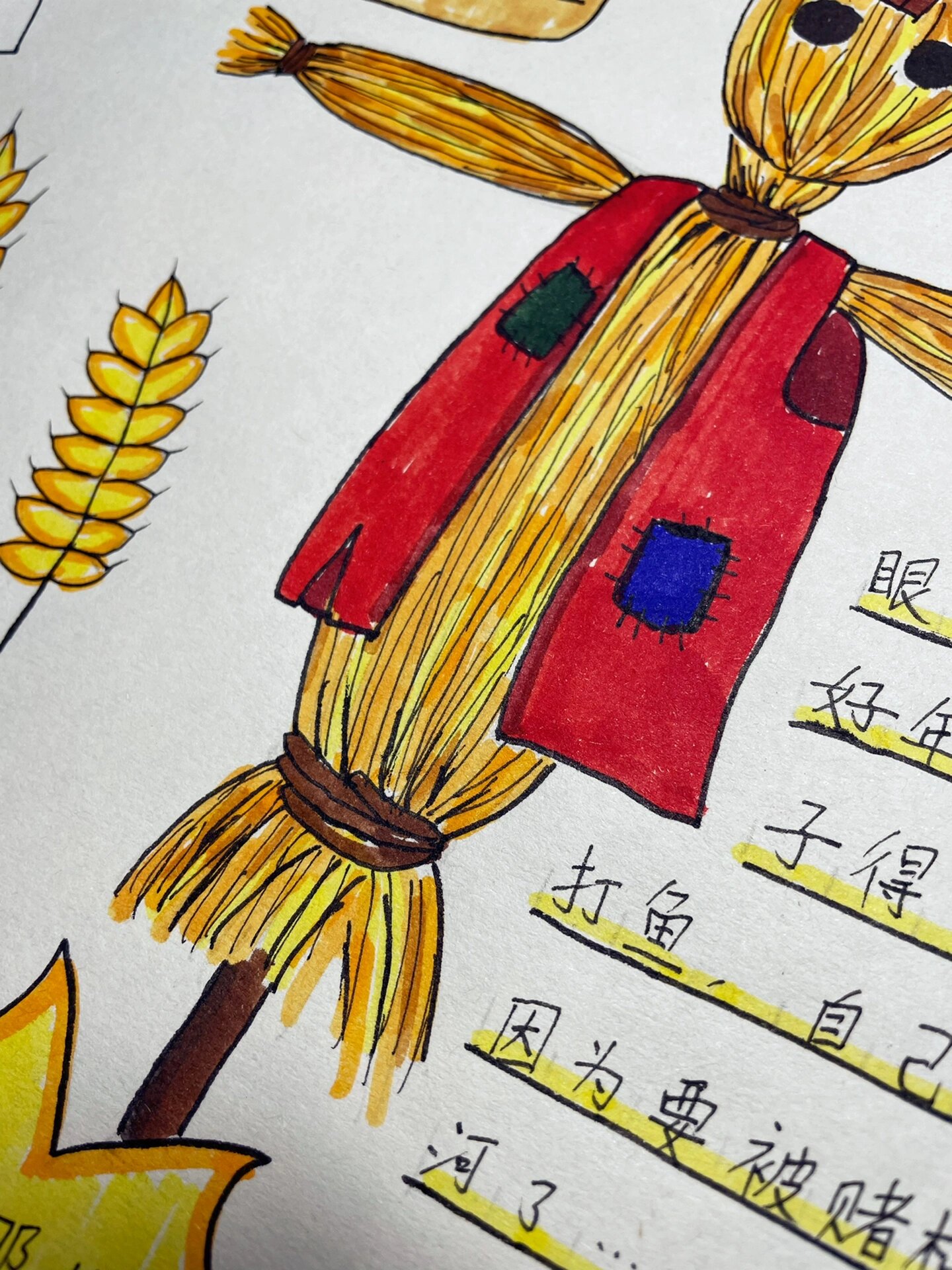 《稻草人》阅读小报 手抄报