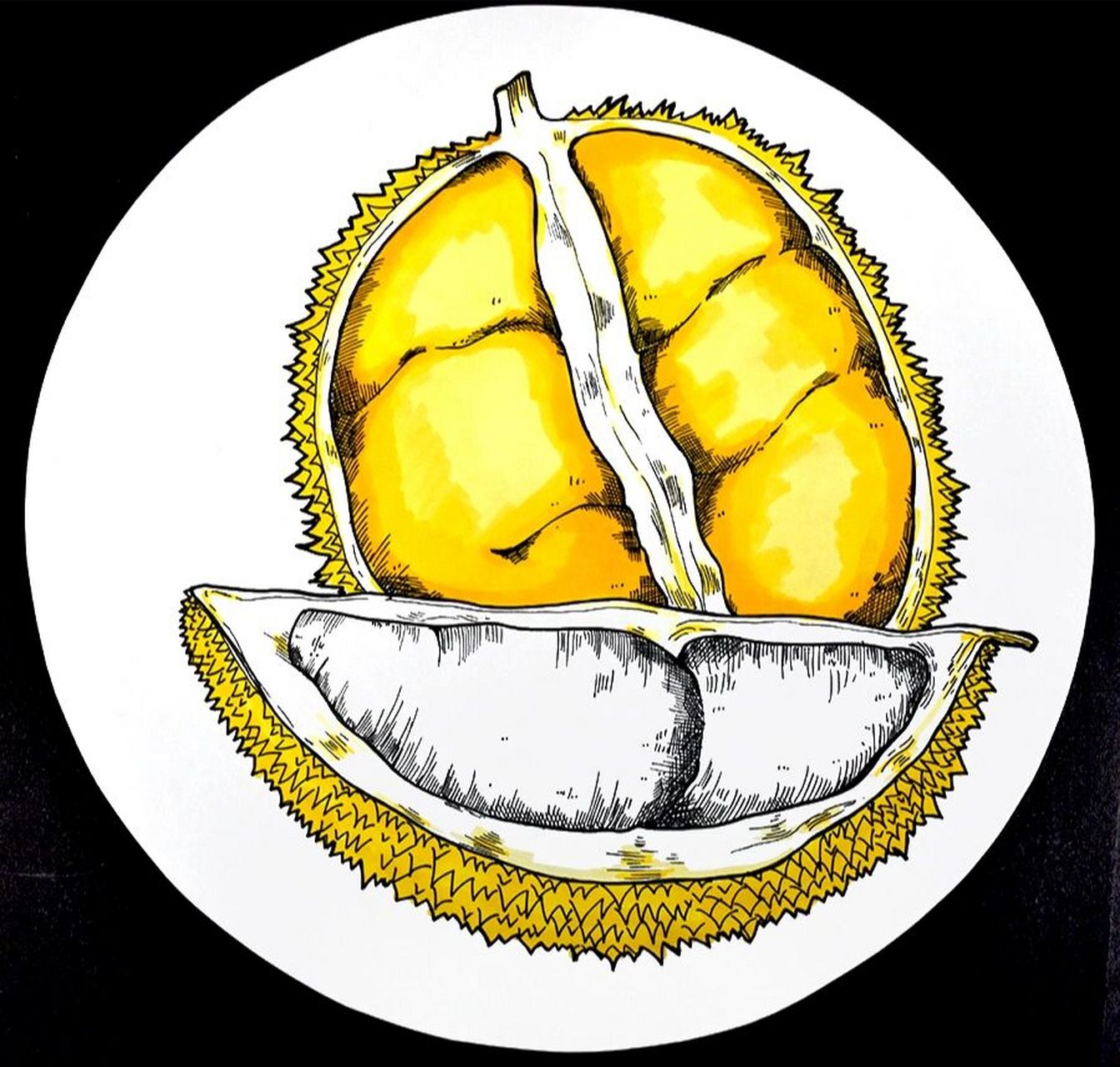 儿童画教程|水果之王榴莲 教学重难点 1,欣赏榴莲的图片素材,根据其