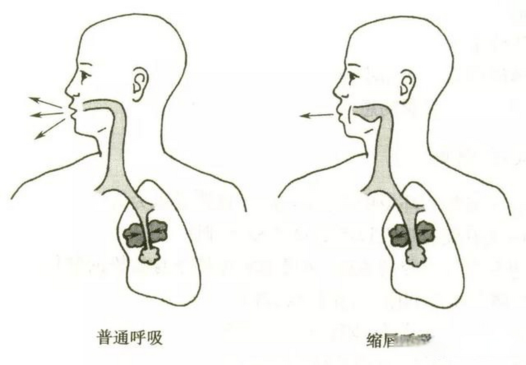 运动时用嘴呼吸图片