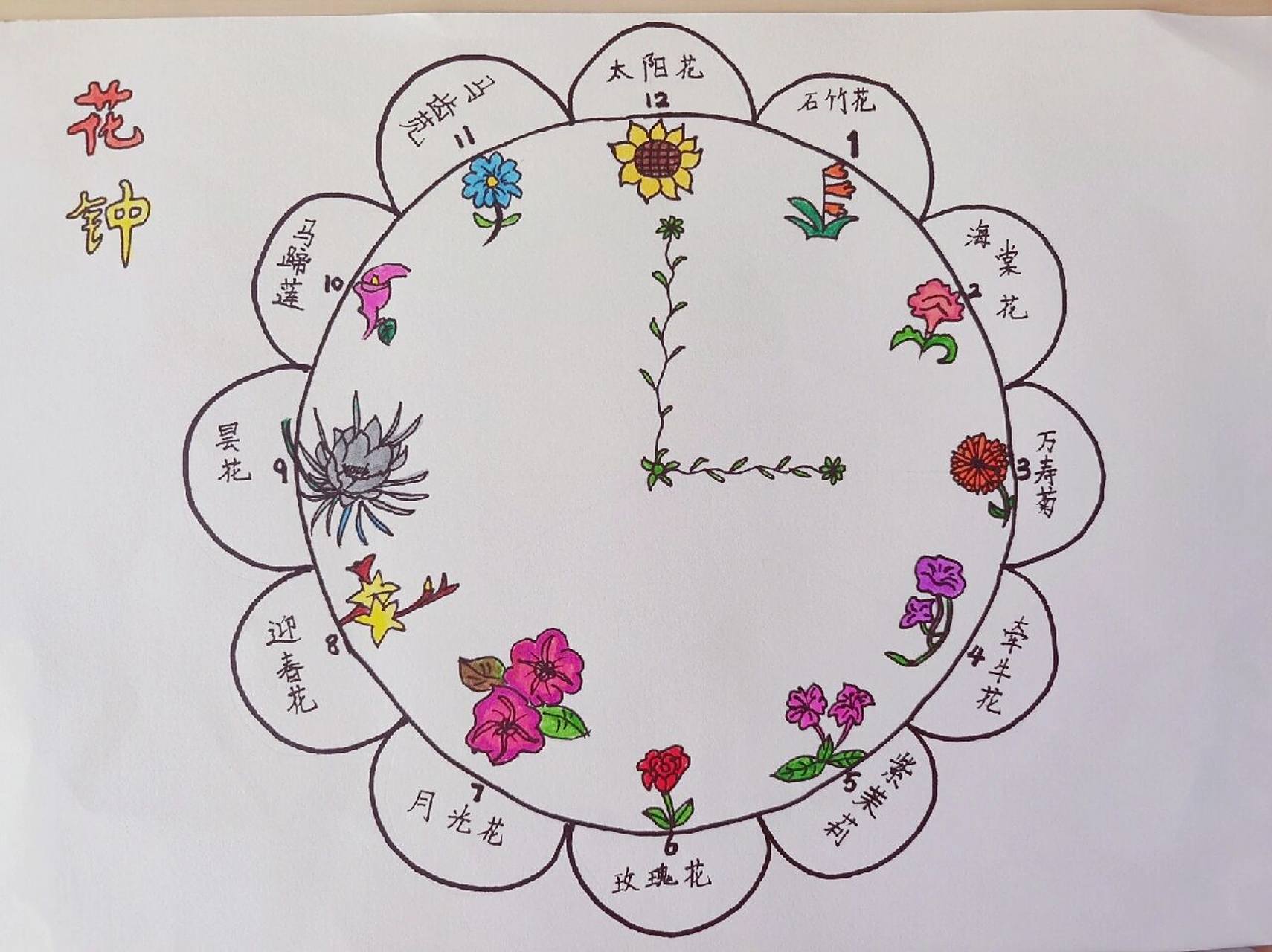 三年级语文下册13课《花钟》手抄报