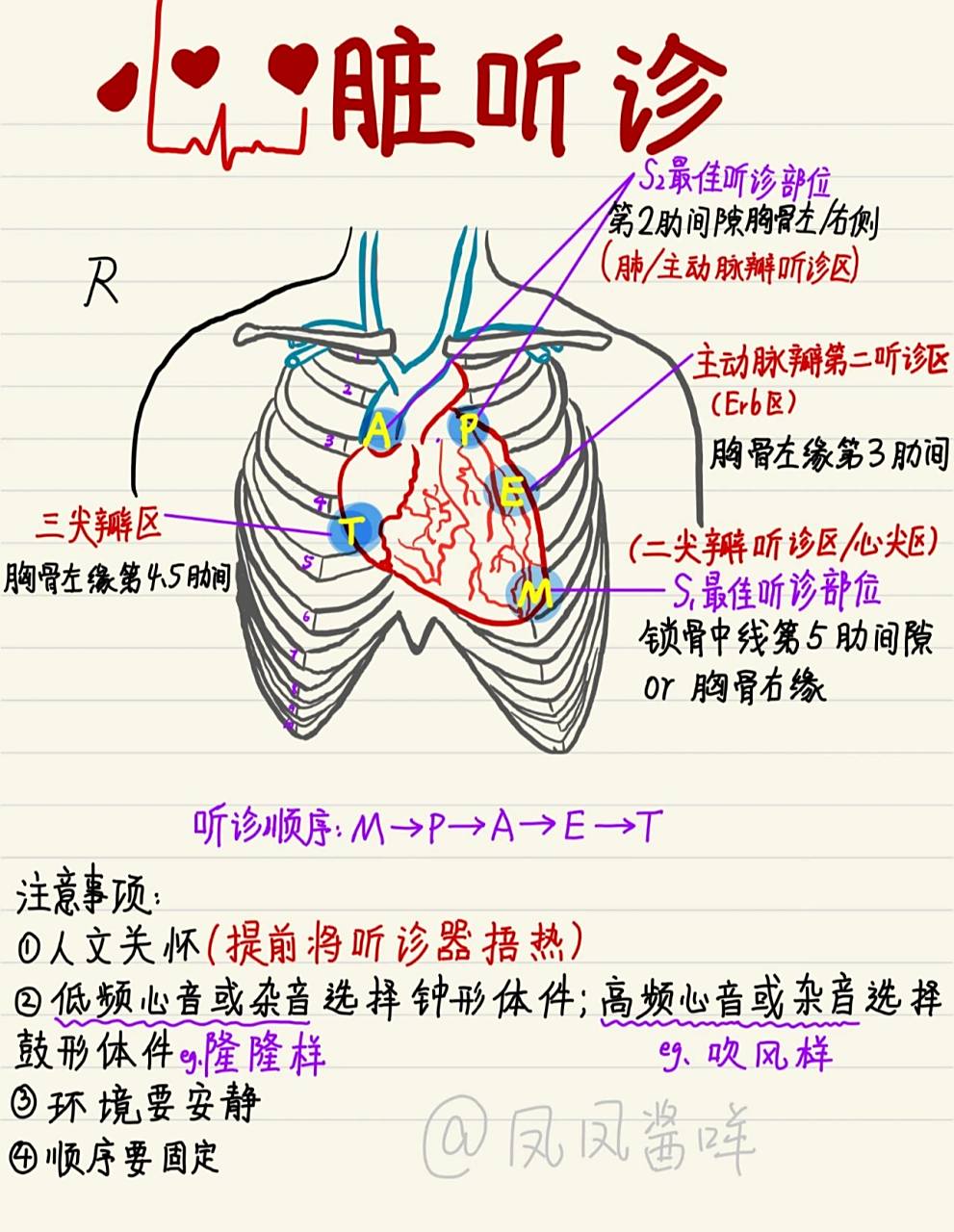 98 医学生笔记 | 心脏听诊 建议点赞收藏 心脏听诊难点挺多,需要