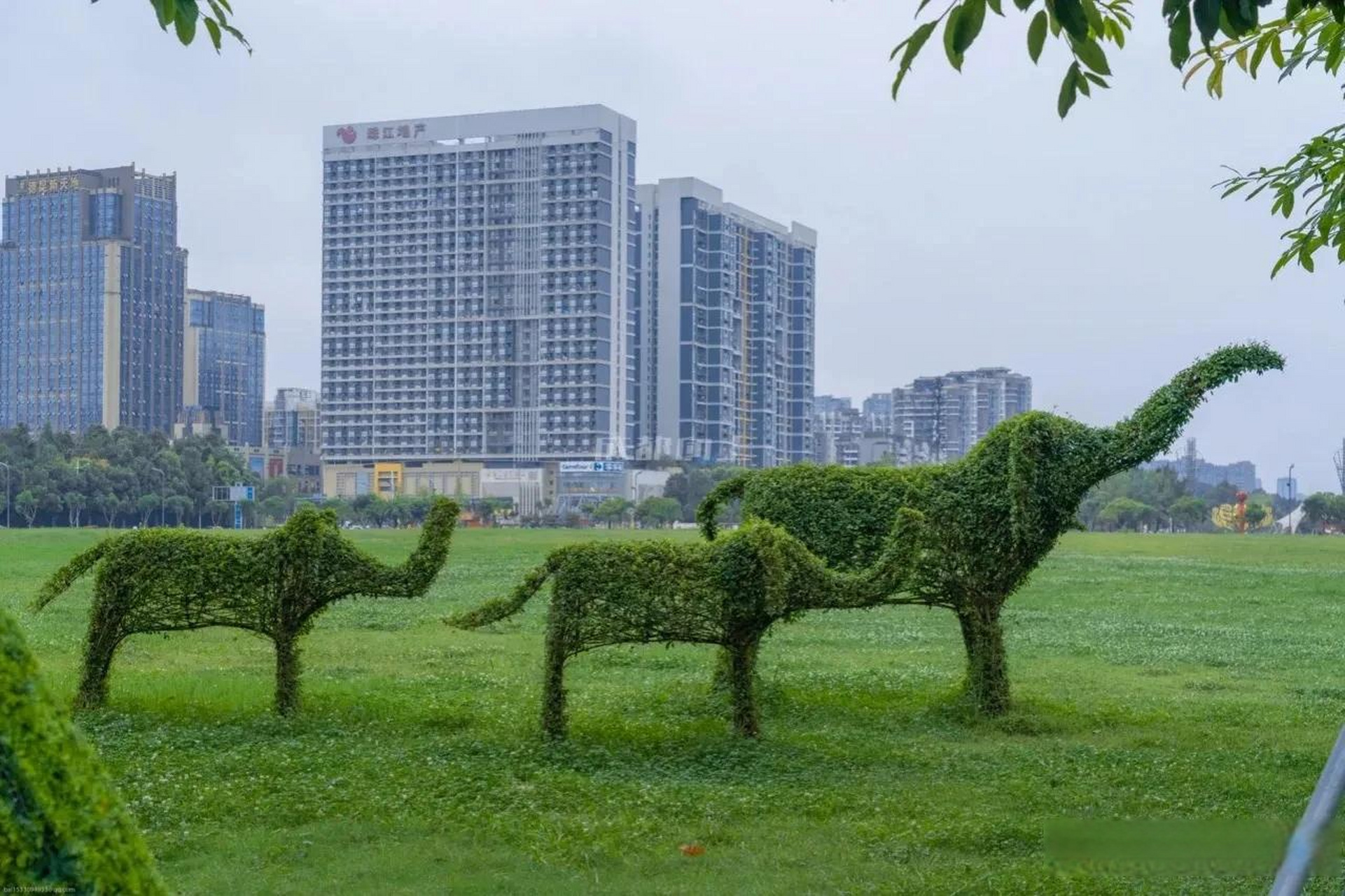 温江新光天地图片