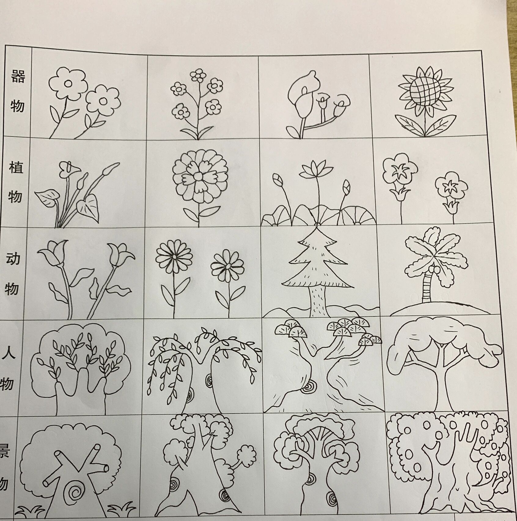 花草树木简笔画