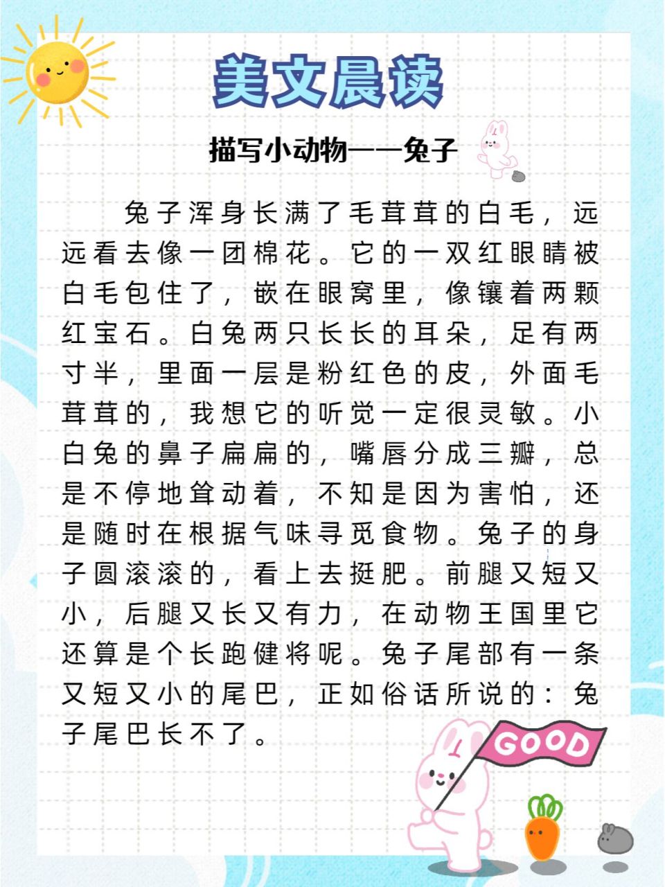 美文晨读&作文素材丨描写可爱的小兔子 96一天之计在于晨,今天
