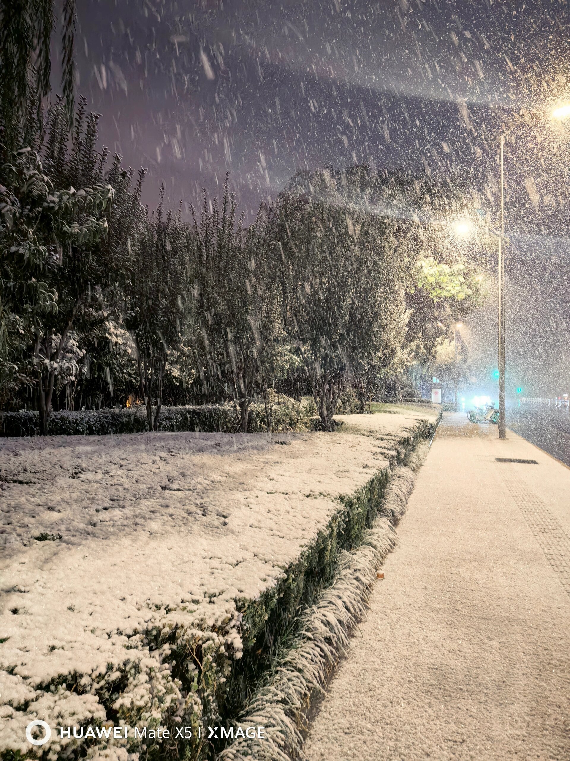 下雪的照片 心情图片