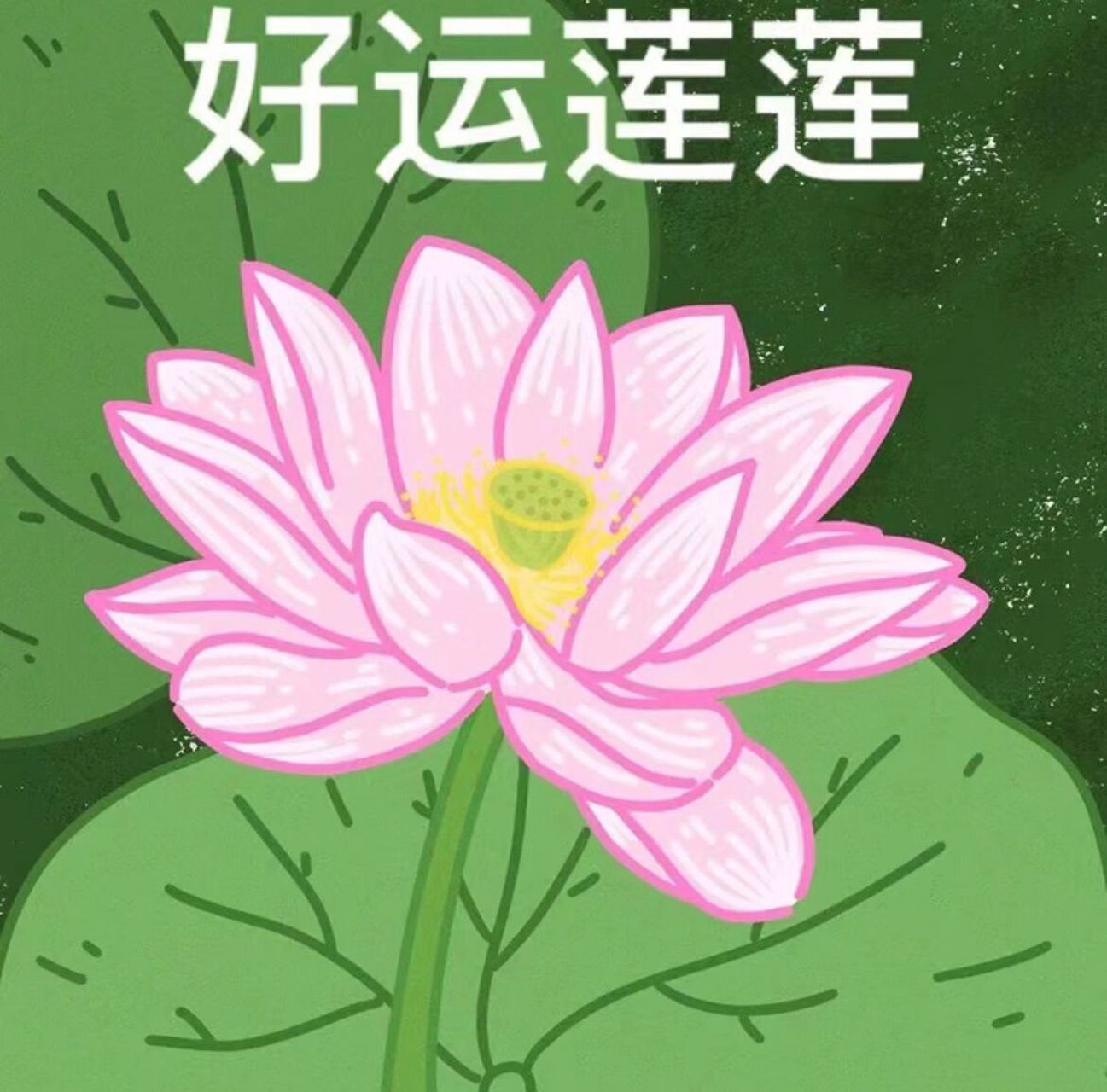 长辈喜欢的头像,自取啦!心平气荷~ 哦吼!