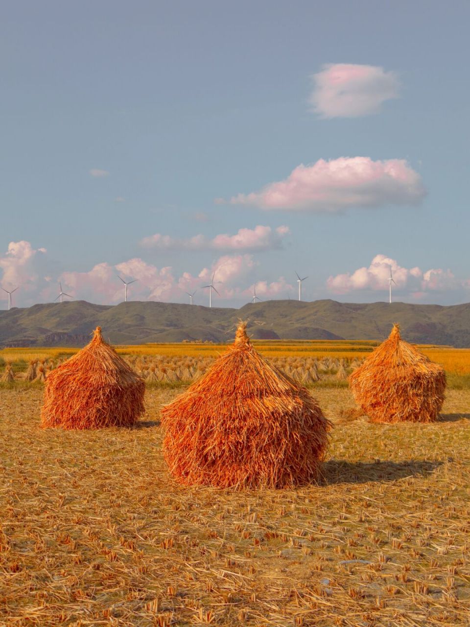 看完莫奈的作品,《干草垛》系列的配色深得我心,于是也想拍点同款图片