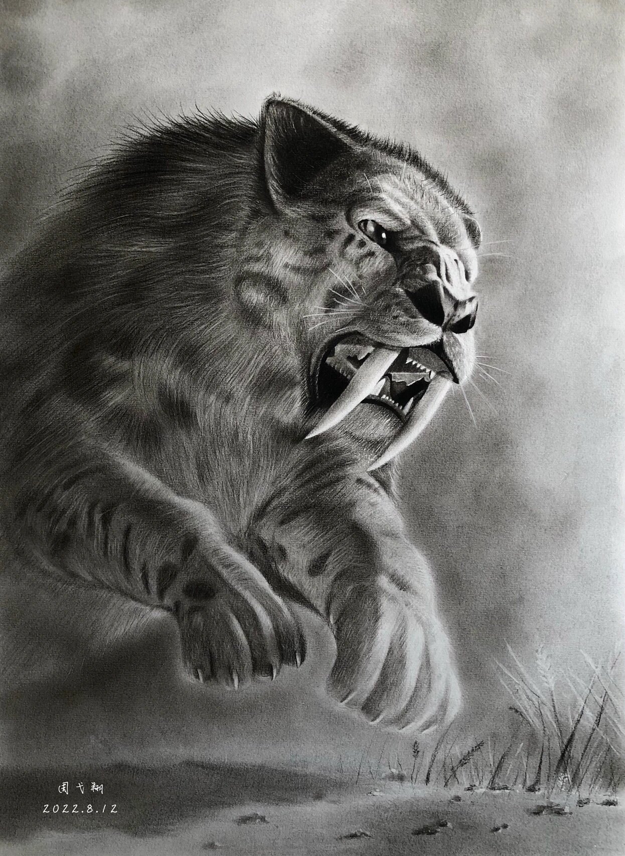 【素描动物】老虎的祖先-凶猛的剑齿虎91