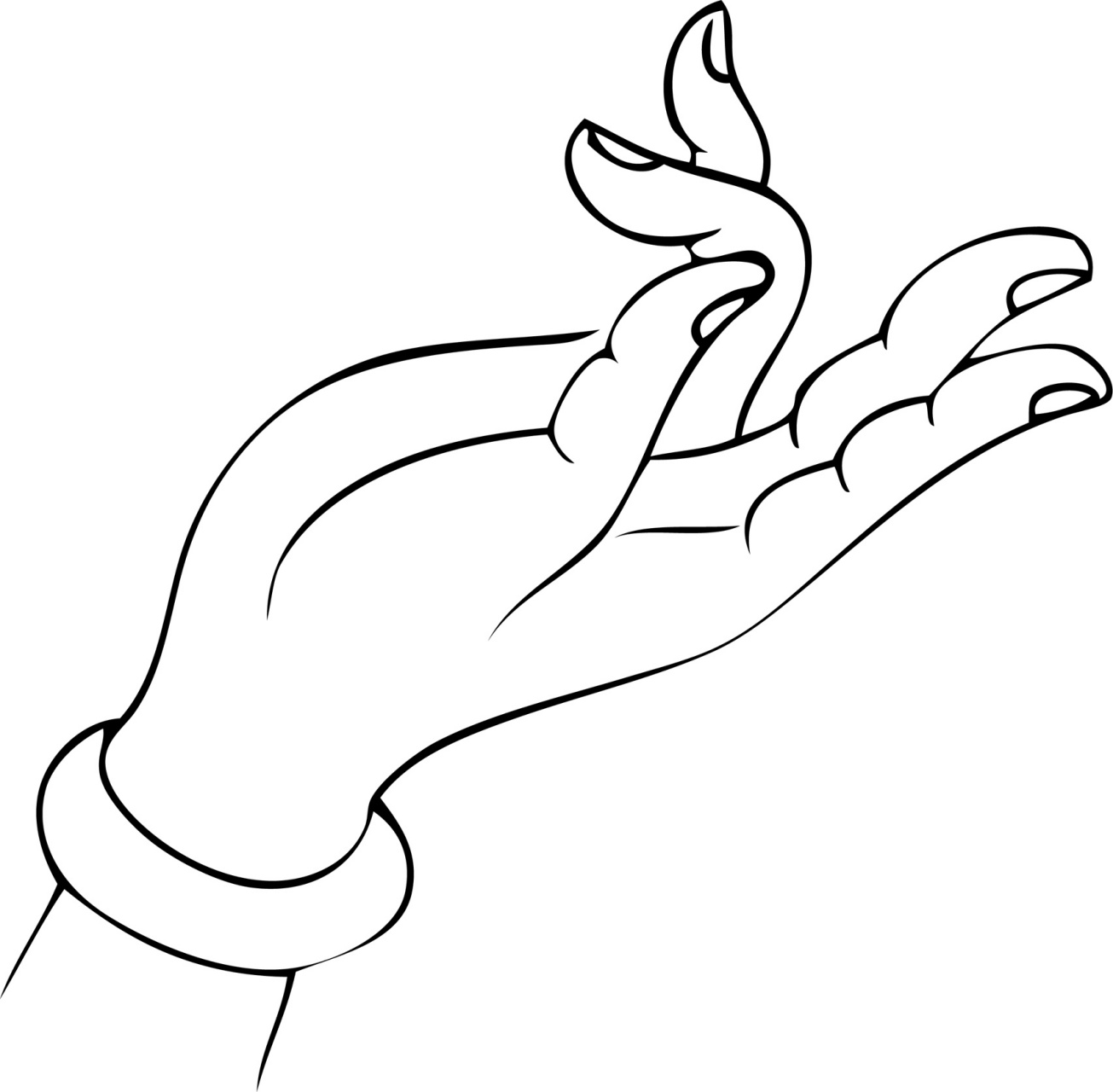 佛手白描·线描素材·国画专业参考资料底稿