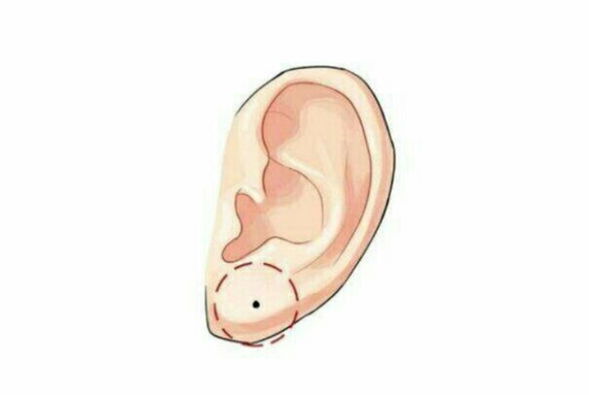 右耳有痣天生聪明 如果一个人耳朵上有痣的话一般来说都是运势好的