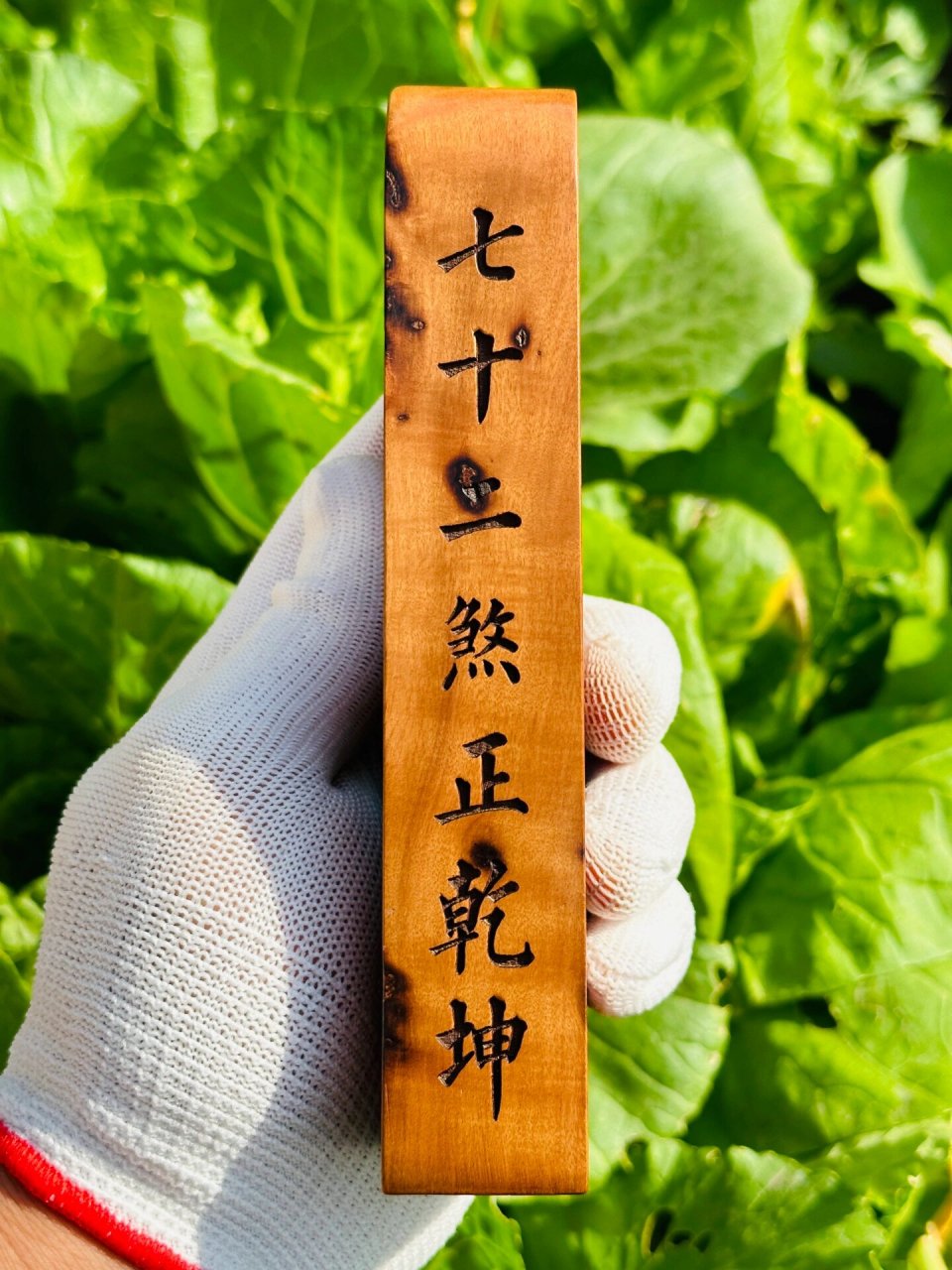 天然雷击枣木五雷号令