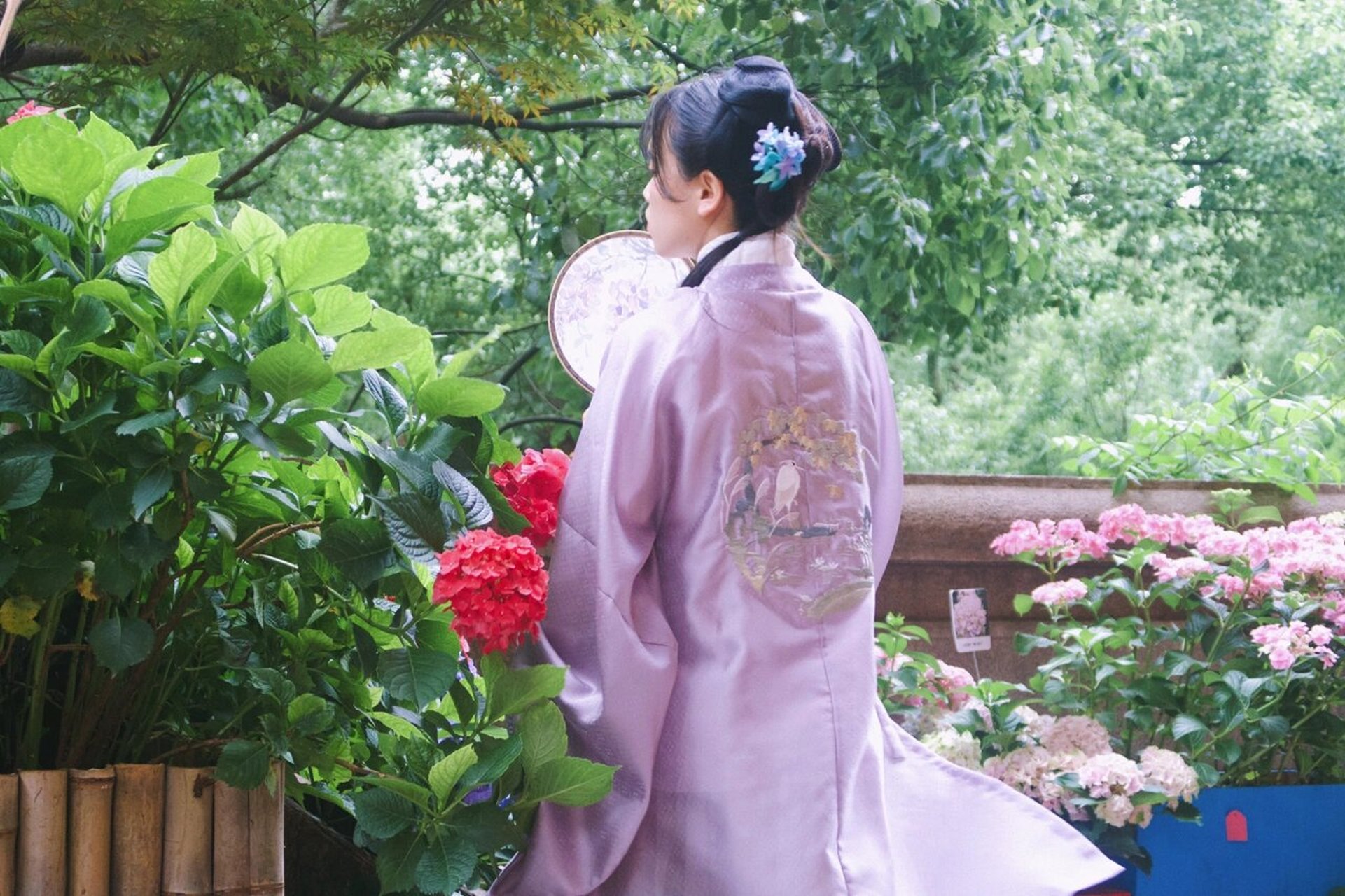 一些汉服背影2 春与夏