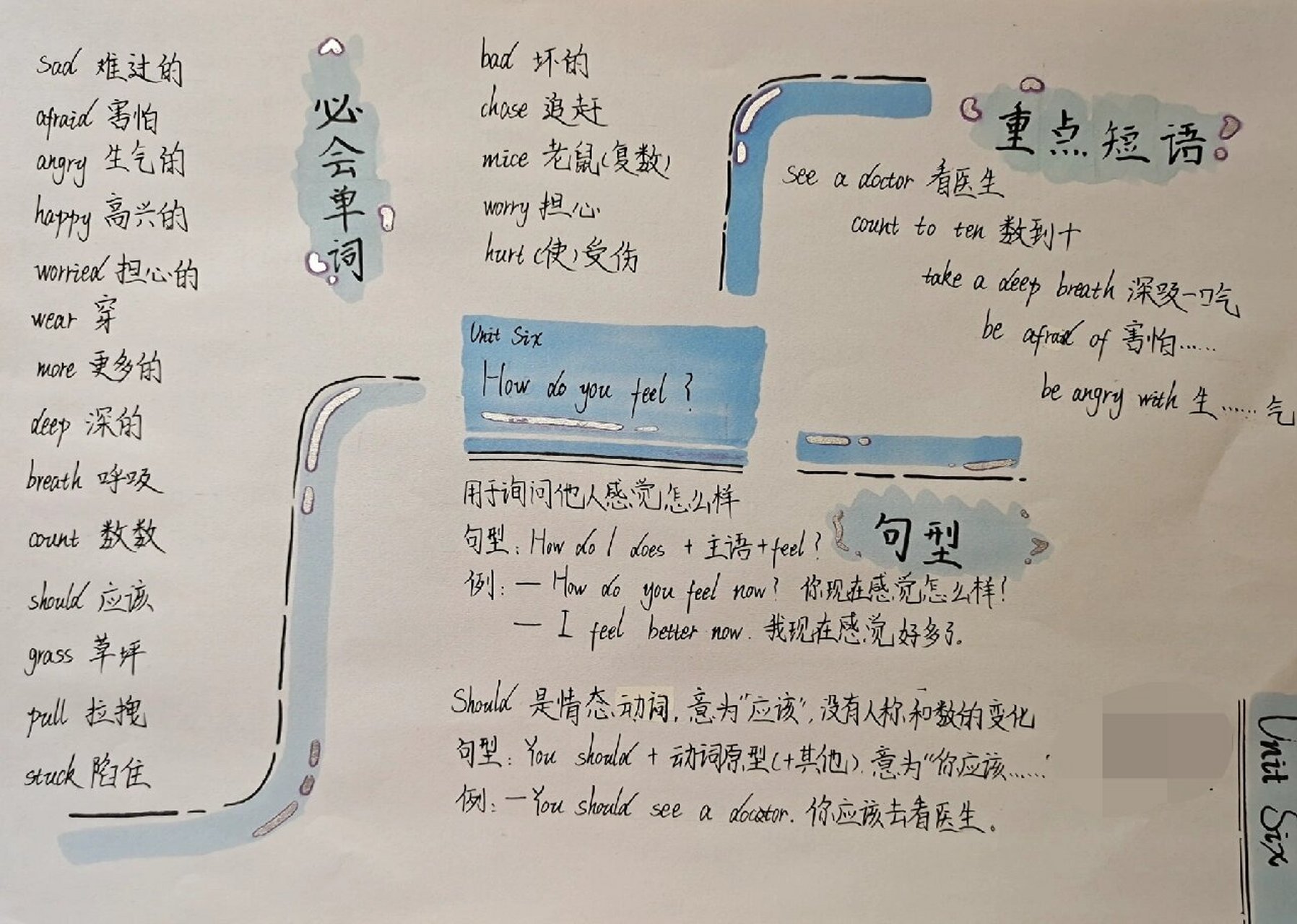 英语小报#六年级上册英语第六单元思维导图 a4纸 马