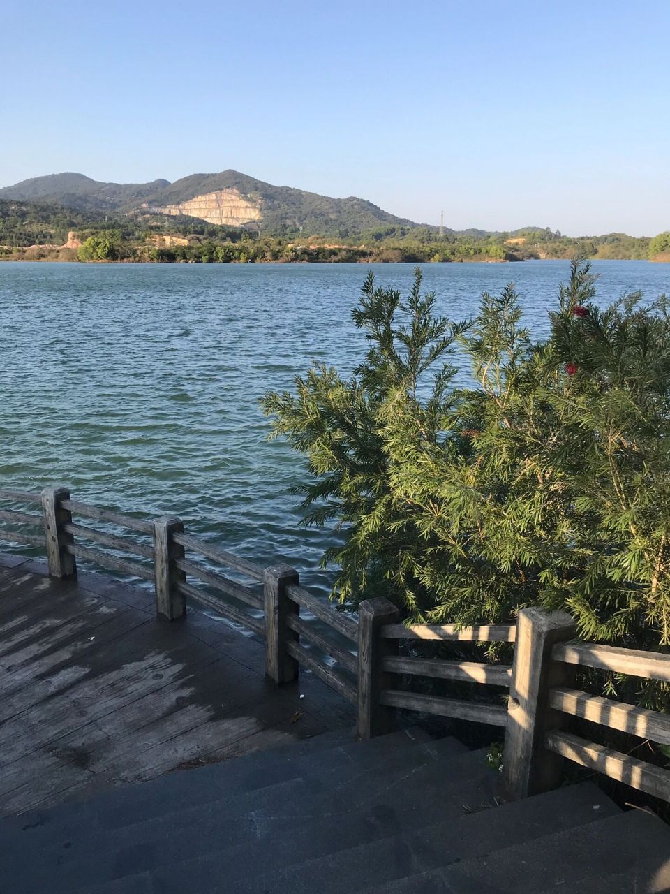 揭陽普寧流沙|南方梅園 每年過年都會來這裡,天氣晴朗的時候也太好逛