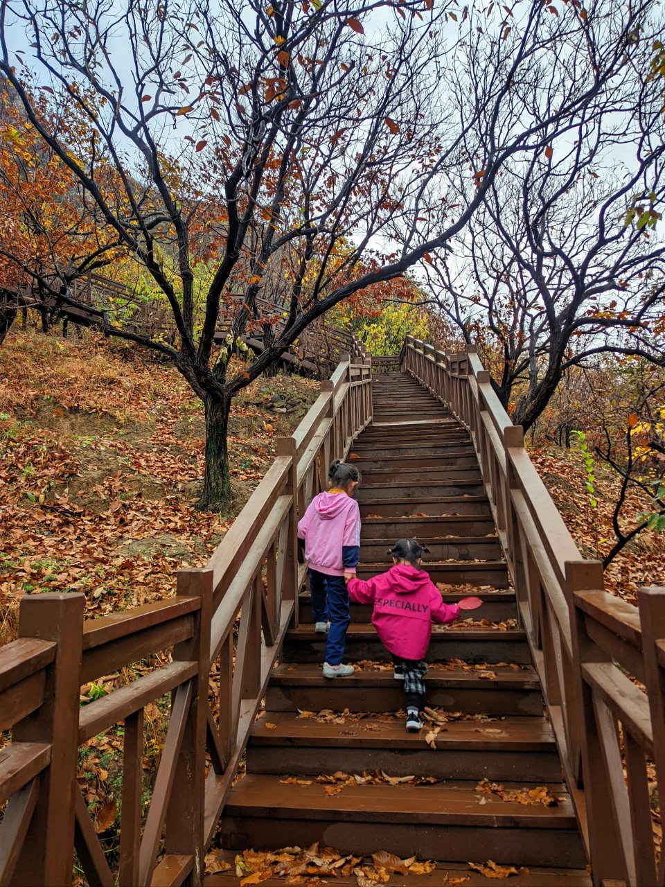 强烈推荐西峪村步道 今天北京下起了下雨,带孩子去西峪村走步道,景色