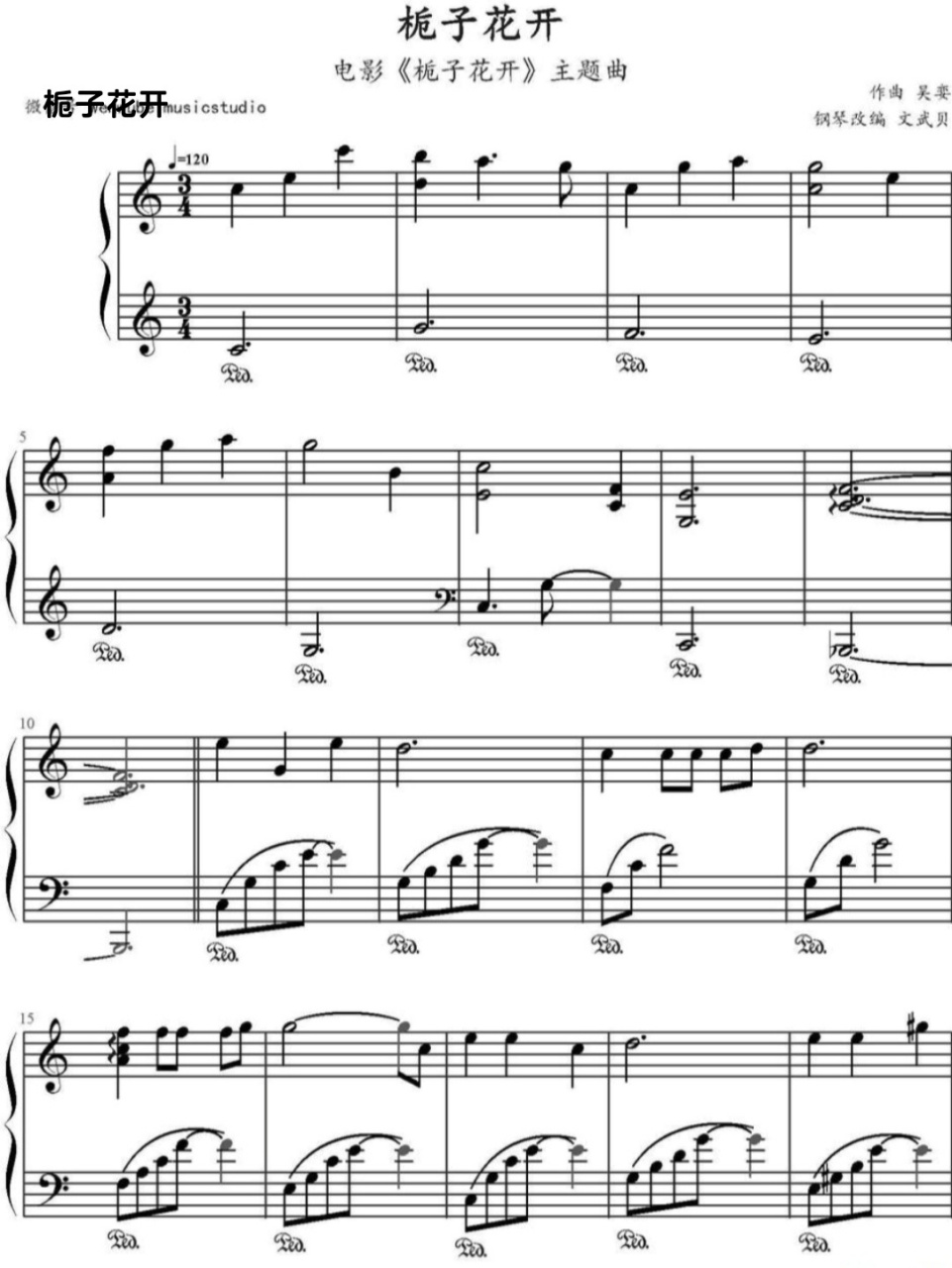 栀子花开97 钢琴谱 《栀子花开》是中国内地男艺人何炅推出的第一支