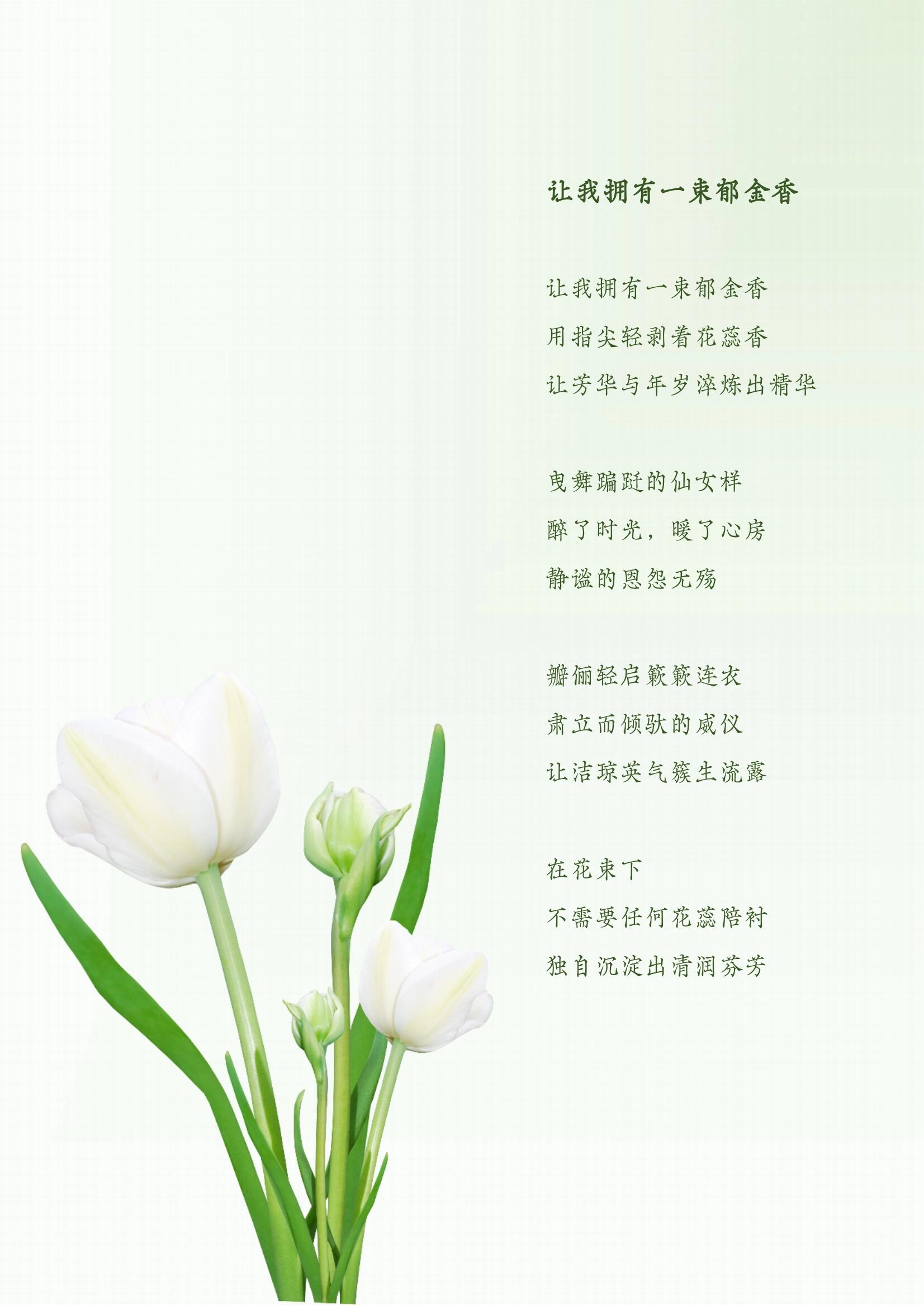 郁金香花蕊要剪掉么图片