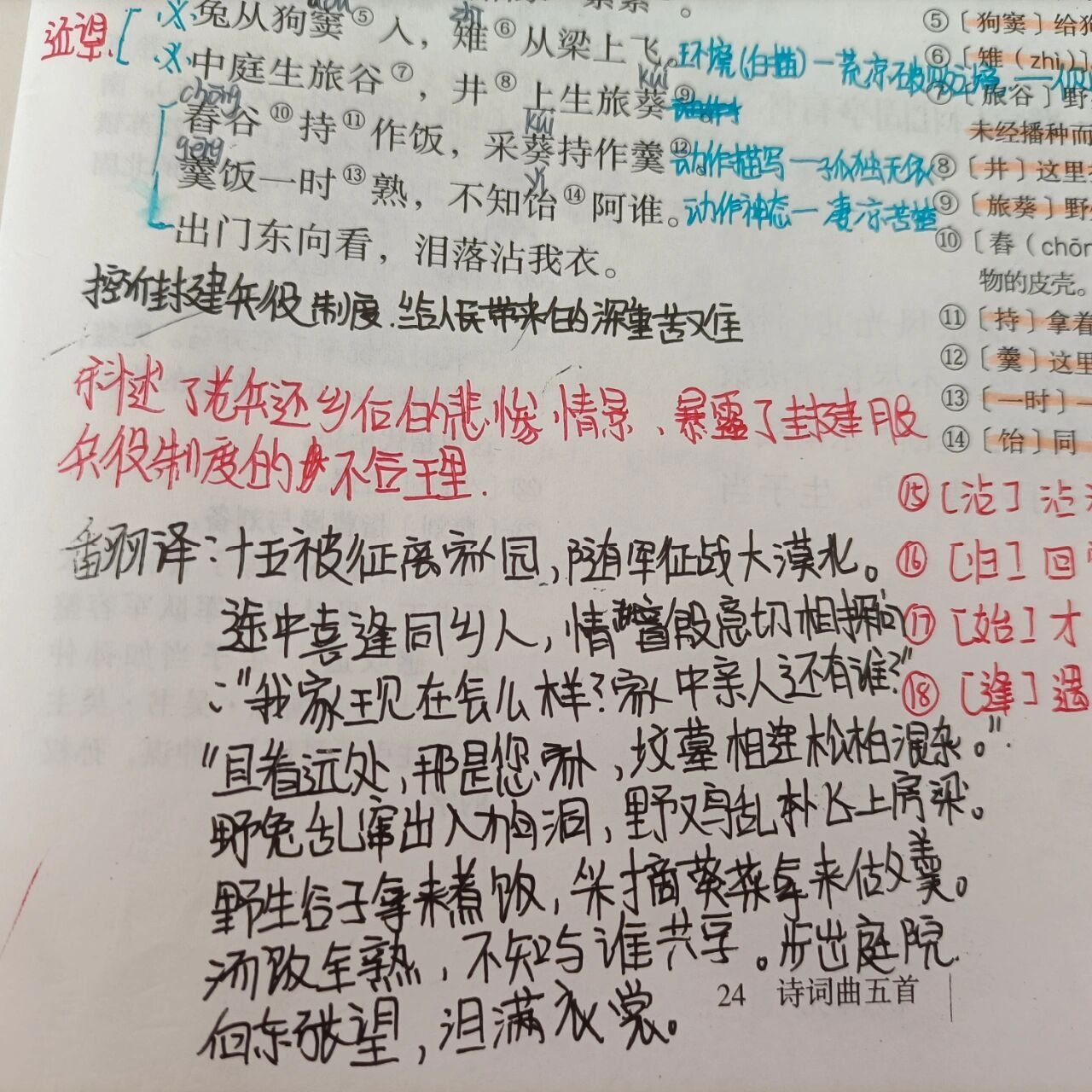 十五从军征九年级下册图片