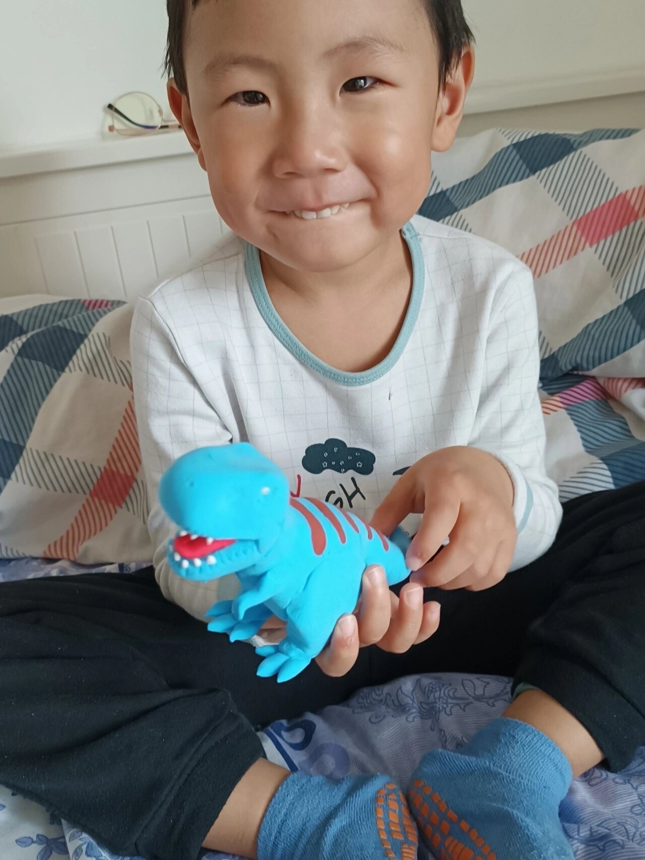 霸王龙,孩子很喜欢,但不禁折腾,已被大牛揉成了泥还好提前照了照片