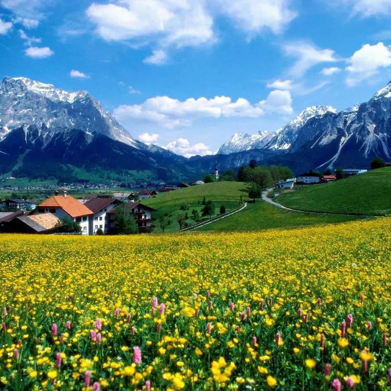 微信头像风景图片怎么配 微信头像风景图片大全吉利招财转运 这些风景
