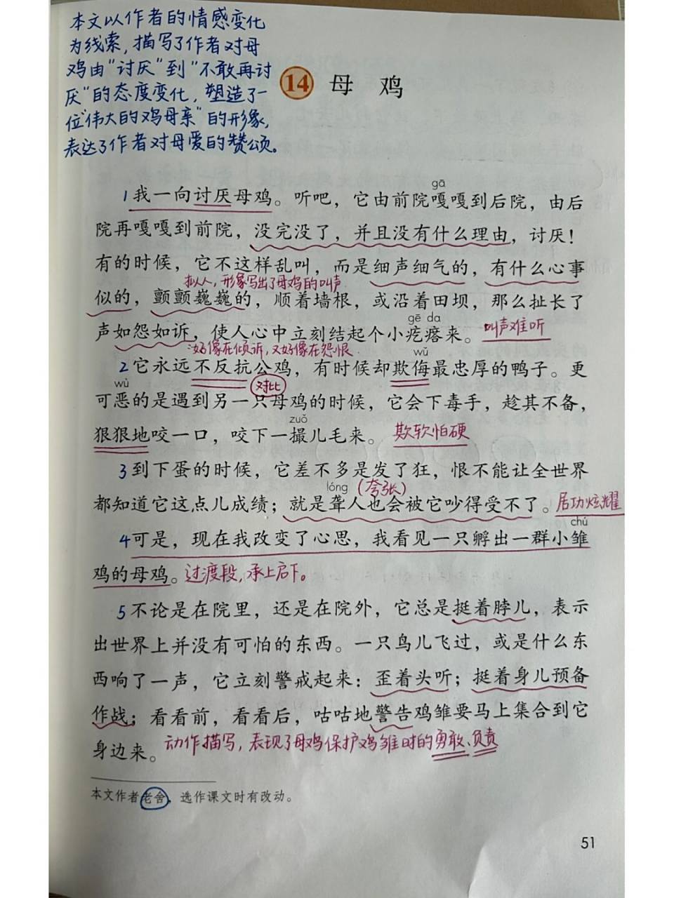 四下语文课堂笔记|第14课 母鸡 #小学语文# #小学语文课堂笔记# #语文