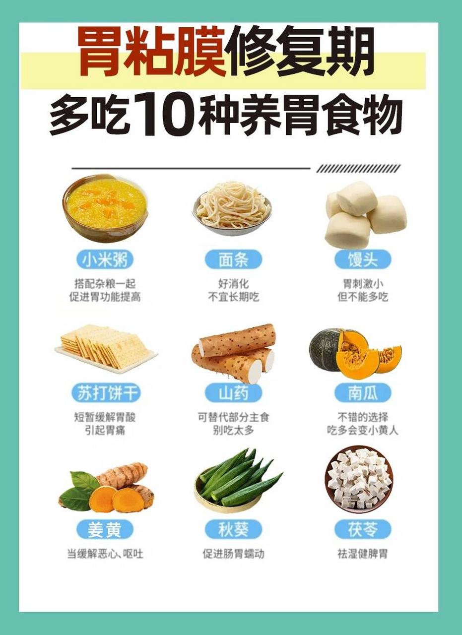 10种修复胃粘膜的养胃食物 对于胃病患者来