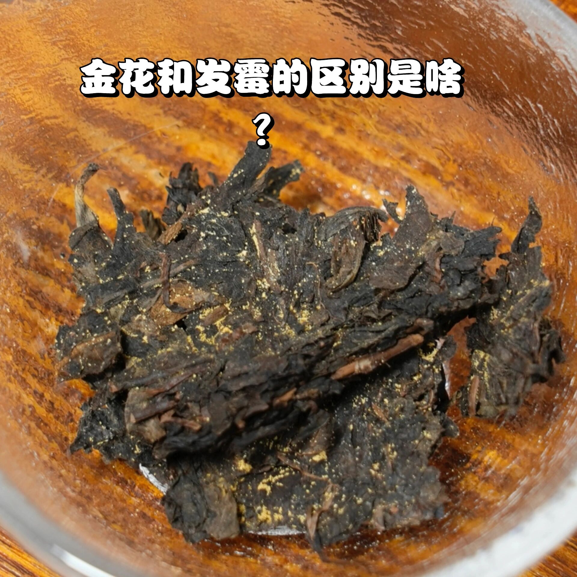 黑茶发霉图片