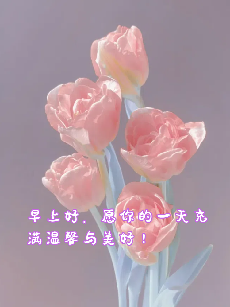早上好问候的暖心句子
