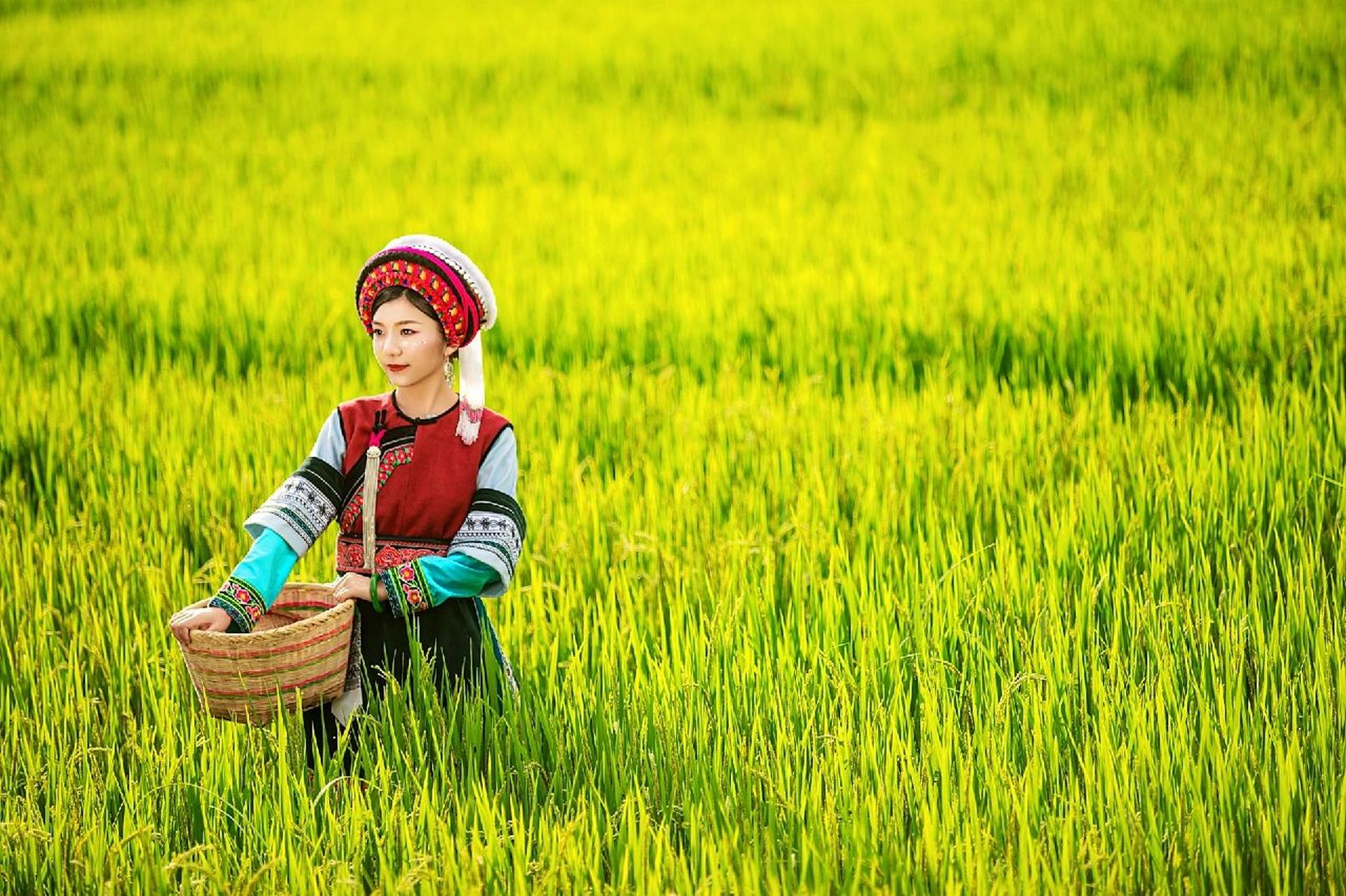 穿在身上的非遗,洱海边的白族姑娘写真 今天是把"非遗"穿在身上拍摄的