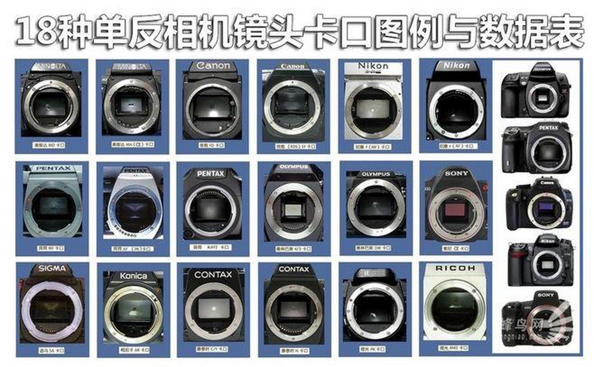 了解镜头卡口和转接环,这一篇笔记就够啦!