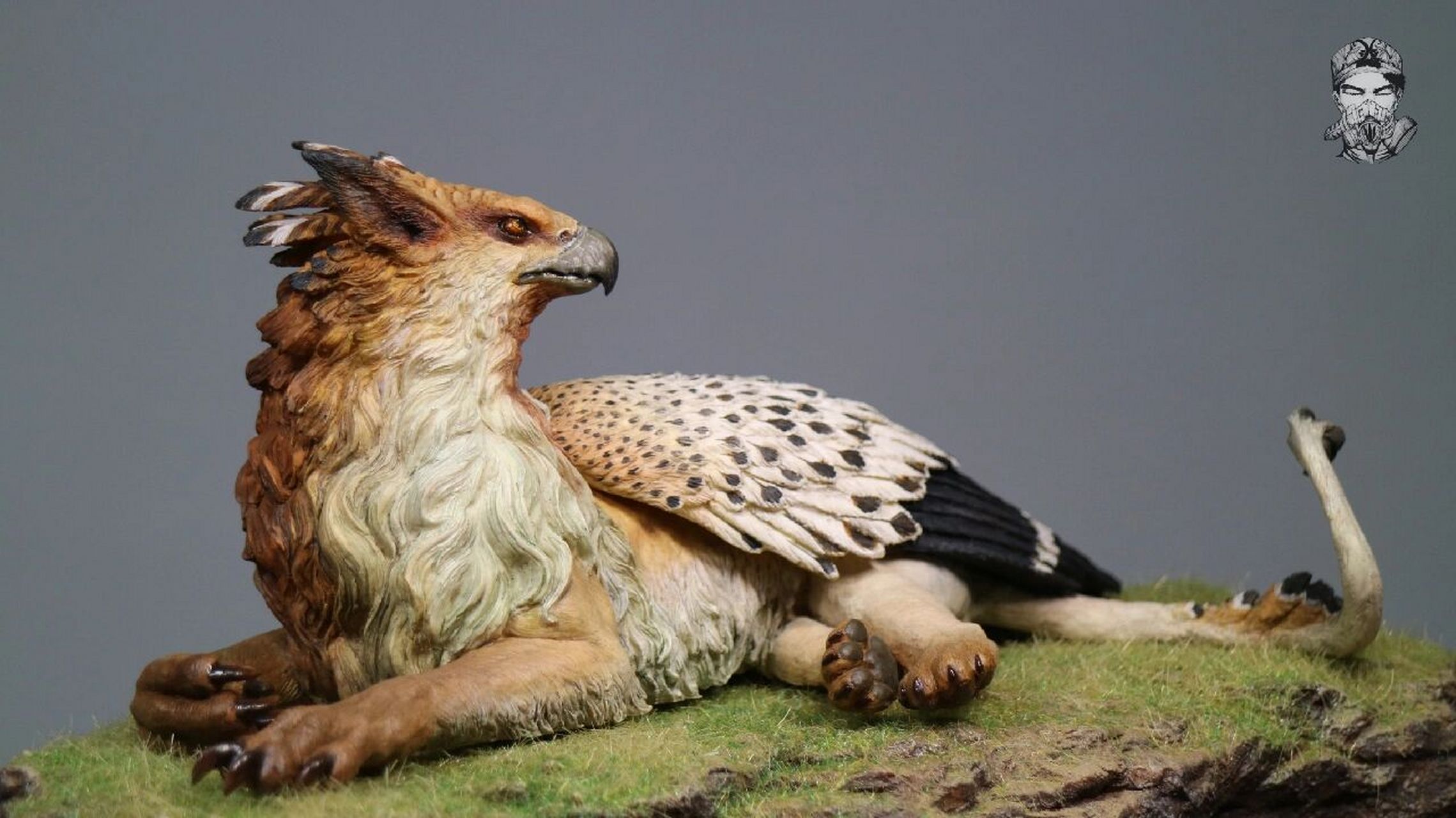 发现一只野生狮鹫!