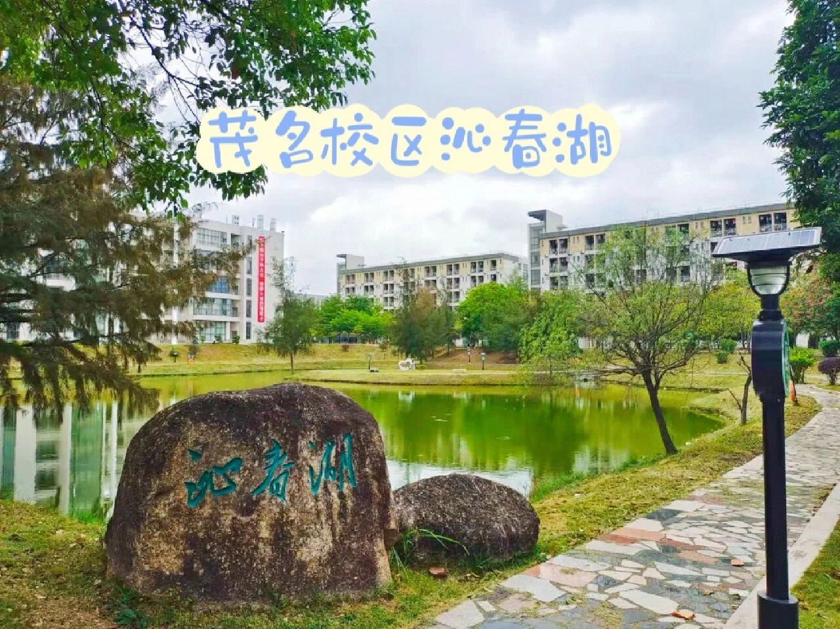 广东茂名幼儿师范专科学校|学校介绍篇 8599广东茂名幼儿师范专科