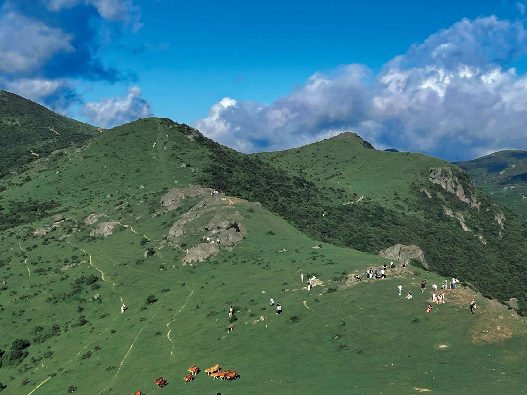 大姆山原生态草原图片