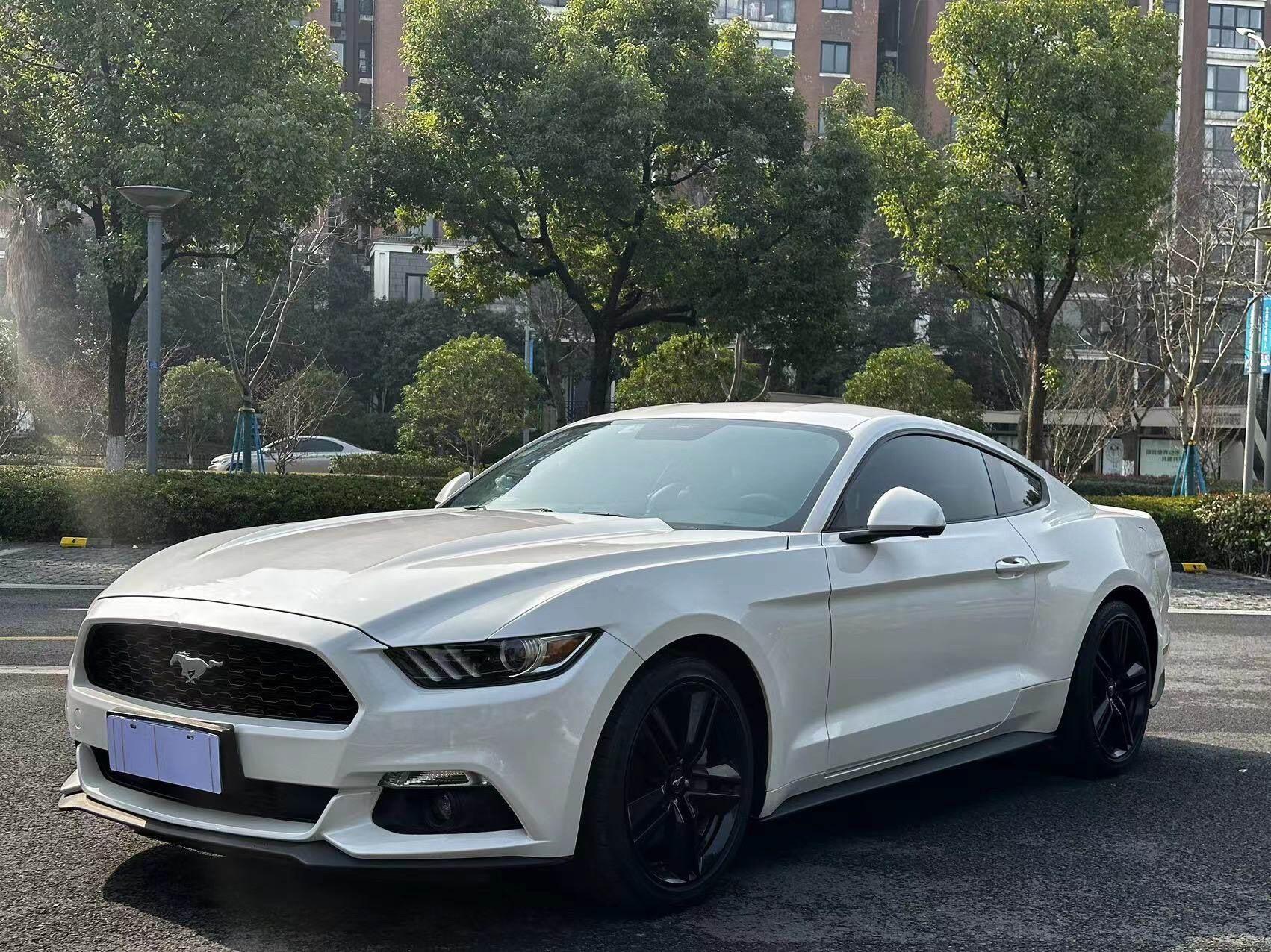 车身颜色 车况说明: 17款17年中归野马 方向盘加热