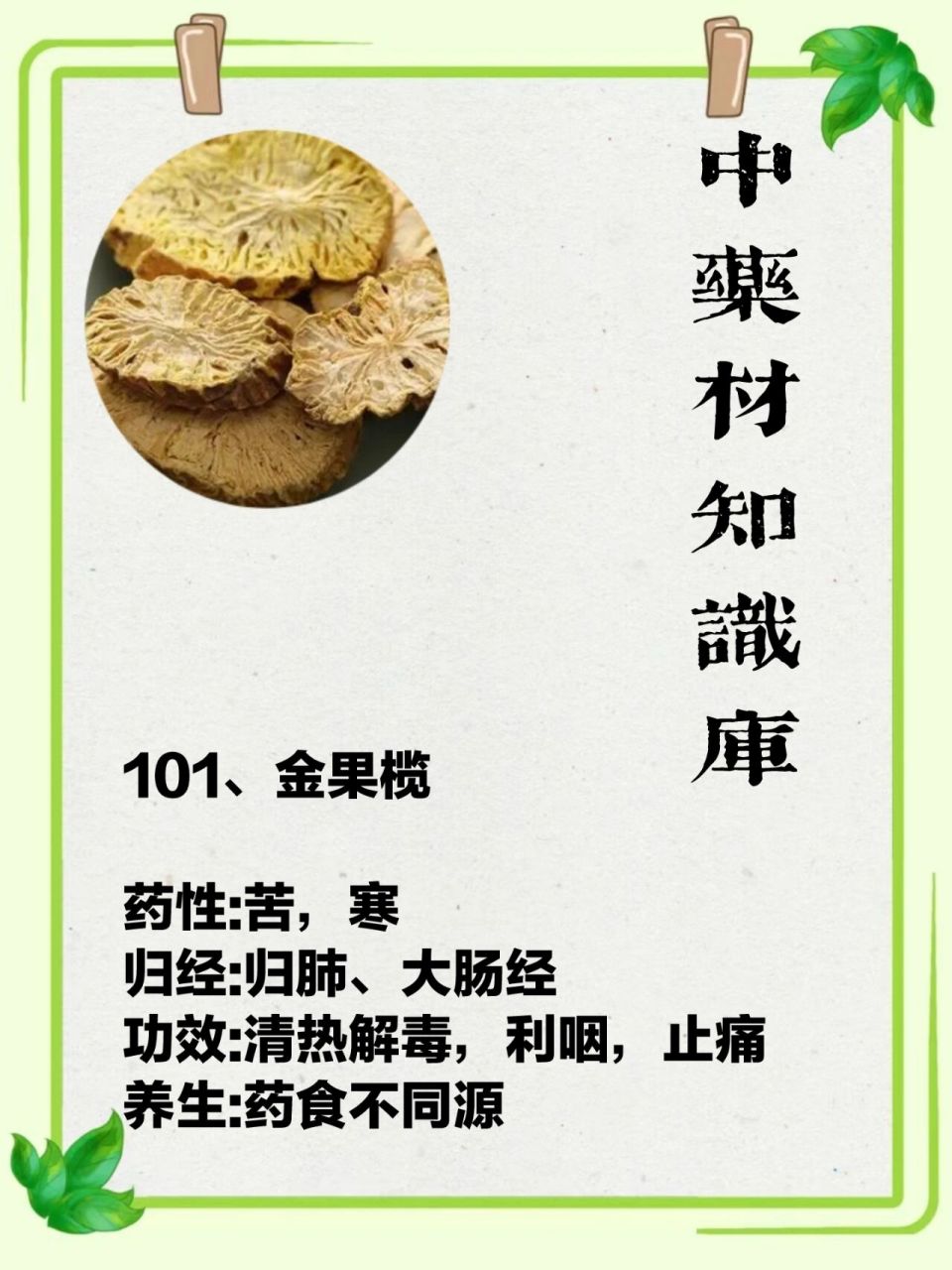 药食不同源之金果揽 101,金果榄 药性:苦,寒 归经:归肺,大肠经 功效
