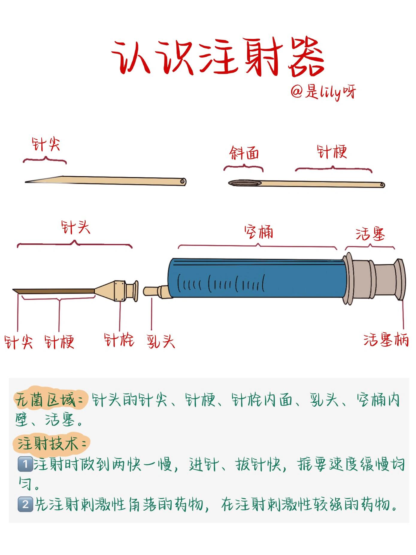 注射器构造部位名称图片