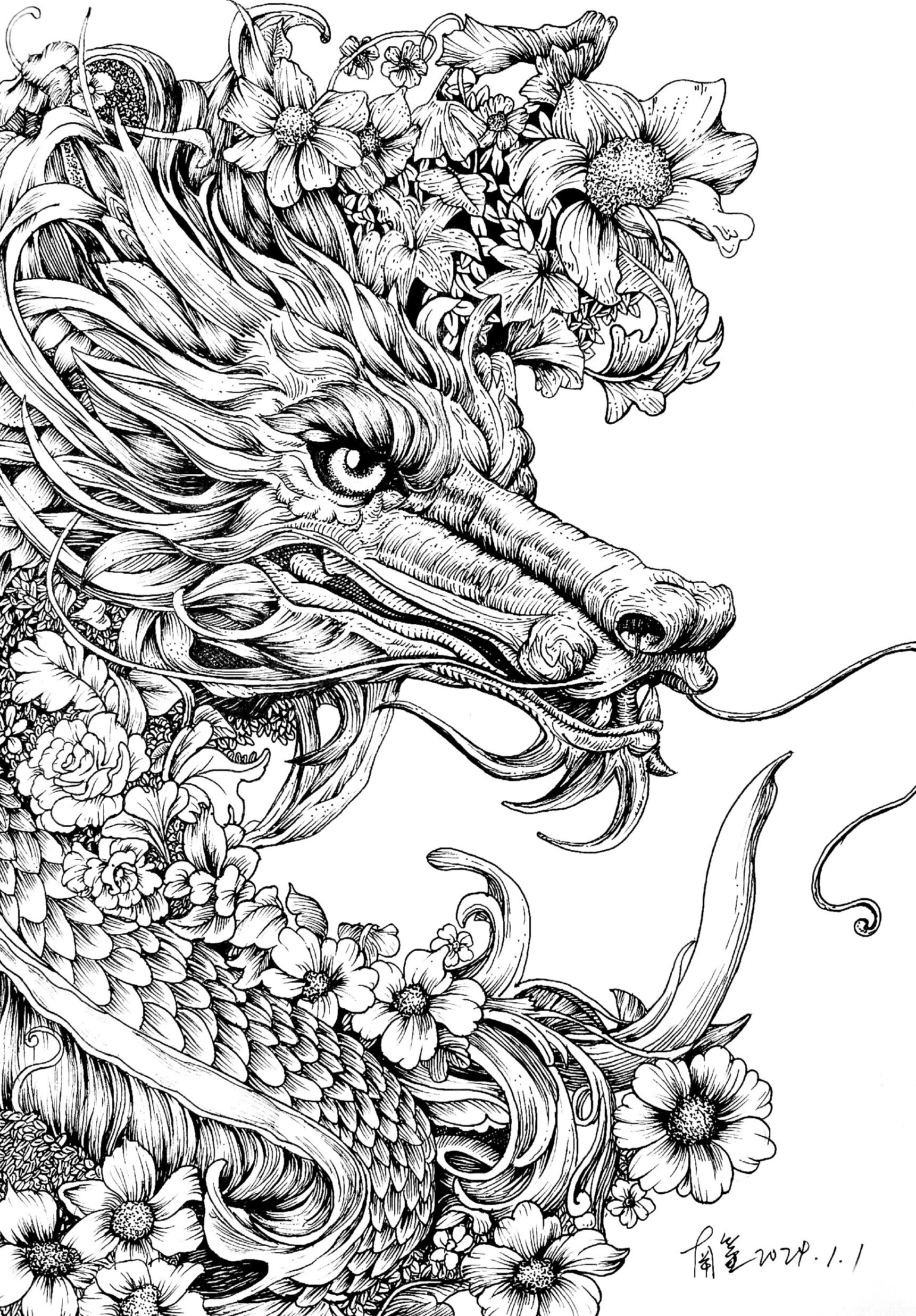 辰龙·黑白画(有步骤)